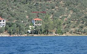 Violetta Studios & Apartments